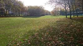 Hundeauslaufgebiet-Singarpurweg/Manilaweg-Bild