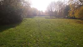 Hundeauslaufgebiet-Singarpurweg/Manilaweg-Bild