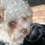 Ersteller:in Jeanna Profilbild