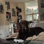 Ersteller:in Tamara Profilbild