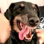 Ersteller:in Betty Profilbild