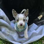 Ersteller:in Dani Profilbild