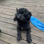 Ersteller:in Heike Profilbild