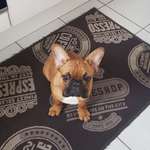 Ersteller:in Mandy Profilbild