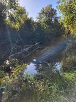 Hundeauslaufgebiet-Stich-Kanal Büchen-Bild