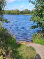 Hundeauslaufgebiet-Güster Seen und Kanal-Bild