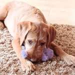 Ersteller:in Silvia Profilbild