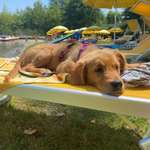 Ersteller:in Lea Profilbild