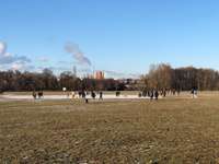 Hundeauslaufgebiet-Volkspark Niddapark-Bild