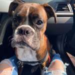 Ersteller:in Melissa Profilbild