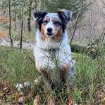 Ersteller:in Maria Profilbild