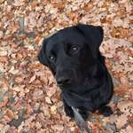 Ersteller:in David Profilbild