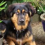 Ersteller:in Michael Profilbild