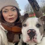 Ersteller:in Wiebke Profilbild