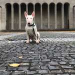 Ersteller:in E Profilbild