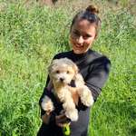 Ersteller:in Ricarda Profilbild