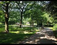 Hundeauslaufgebiet-Vorgebirgspark-Bild