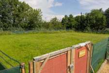 Hundeauslaufgebiet-Hundespielplatz Köln-Bild