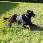 Ersteller:in Mahly Profilbild