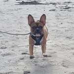 Ersteller:in Willow Profilbild