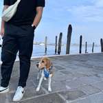 Ersteller:in L Profilbild