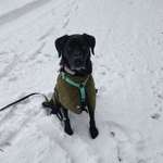 Ersteller:in Susan Profilbild