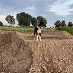 Ersteller:in Alina Profilbild