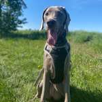 Ersteller:in Leticia Profilbild