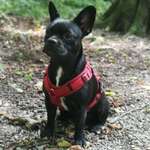 Ersteller:in Denise Profilbild