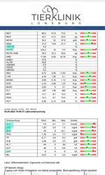 Schlechte Blutwerte-Beitrag-Bild