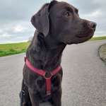 Ersteller:in Laura Profilbild