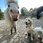 Ersteller:in Sophie Profilbild