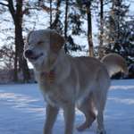 Ersteller:in Sophie Profilbild