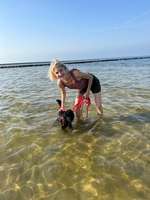 Strand- & Meerurlaub mit Hund - Fellpflege.-Beitrag-Bild