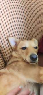 Impfungen und deren wiederholungen-Beitrag-Bild