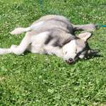 Ersteller:in Katharina Profilbild