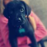 Ersteller:in Laura Profilbild