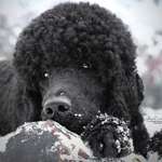 Ersteller:in Una Profilbild