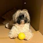 Ersteller:in Yf Profilbild