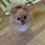 Ersteller:in Nicolas Profilbild