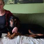 Ersteller:in Kirsten Profilbild