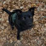 Ersteller:in Melanie Profilbild