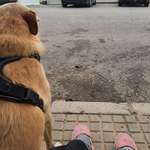 Ersteller:in Nic Profilbild