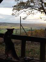 Hundeauslaufgebiet-Über die Teufelsbrücke zur Hohen Eiche-Bild