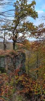 Hundeauslaufgebiet-Über die Teufelsbrücke zur Hohen Eiche-Bild