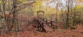 Hundeauslaufgebiet-Über die Teufelsbrücke zur Hohen Eiche-Bild