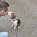 Ersteller:in Benny Profilbild