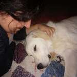 Ersteller:in Sabrina Profilbild