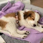 Ersteller:in Sarah & Vladi Profilbild