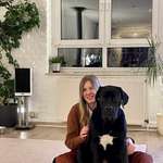 Ersteller:in Suvi Profilbild